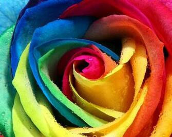 Colorful Peace Sign Background For Desktop Image Search Results