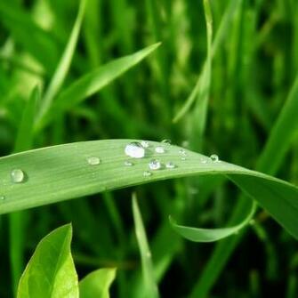 iPad Wallpaper Hi Res Natural Scenery Mini