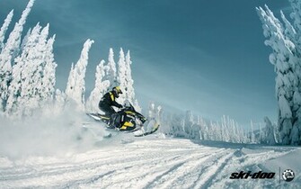 Ski Doo Skidoo Renegade Adrenaline Snowmobile Brp