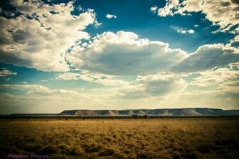 Country Cowboy Wallpaper By