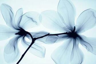 All Products Home Decor Wall Wallpaper