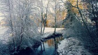 Winter River Forest Trees Landscape Wallpaper Background