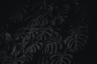 Black Wallpaper HD Hq
