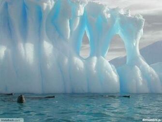 Eisberge Jappy Gb Bilder Pics G Stebuchbilder