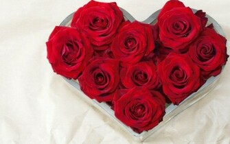Red Roses Buds Heart X Close