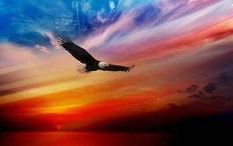 Cool Eagles Wallpaper Oftheworld