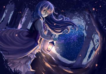 Girl Anime Lantern Forest Night Stock Photos Image HD