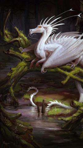 Wallpaper Dragon White Creature Fantasy Art