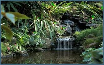 Living Waterfall Screensavers Car Pictures