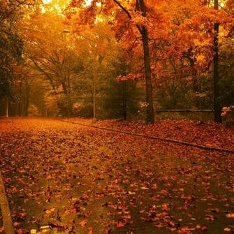 Fall iPad Wallpaper