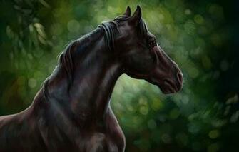Wallpaper Horse Oil Art Watercolor Pencil Painting