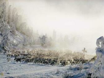 Siberia Wallpaper