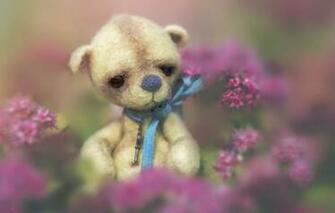 Wallpaper Background Toy Bear Image For Desktop Section