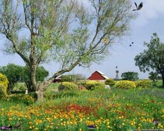 Spring Scene Wallpaper The