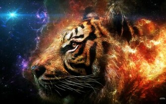 Tiger Animals Wallpaper