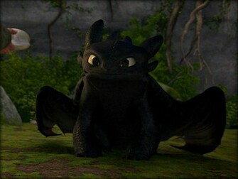 Toothless The Dragon Wallpaper