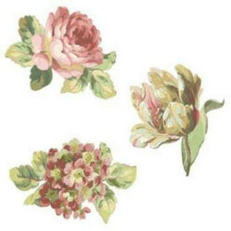 Anna Griffin Tulip And Roses Wallies Wallpaper Border
