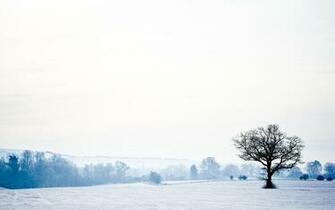 High Resolution Desktop Wallpaper Winter Wonderland By Josh Sheppard