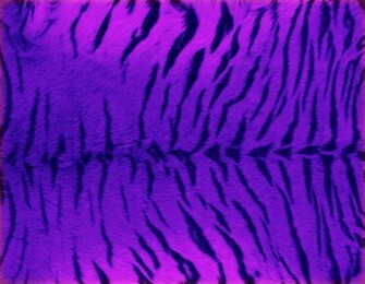 Purple Tiger Fur Photo Wallpaper Wall Mural Cn 241ve