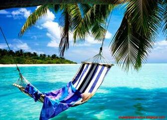 Tropical Beach Wallpaper Hammock HD 1080p Amagico