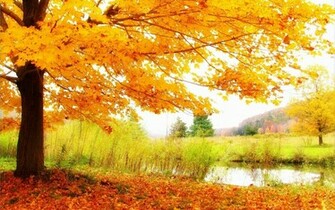 Autumn Scenic Wallpaper In HD