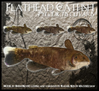 Flathead Catfish By Lamastok