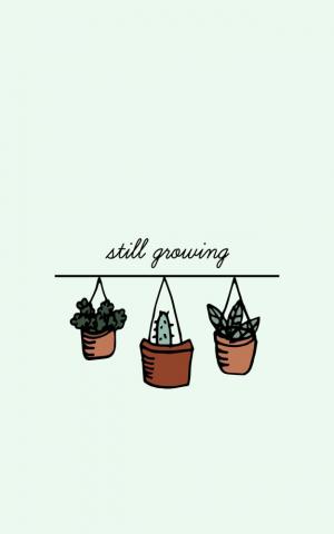 Plants Wallpaper On