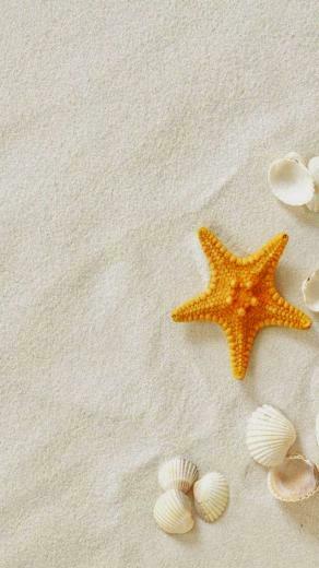 Lg G3 Wallpaper Sea Star Covers Heat