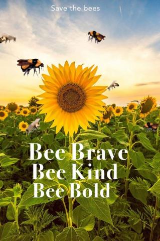 Sunflower Bee Wallpaper