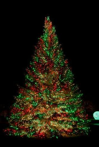 Primo Lights Announces Soaring Demand For Led Christmas