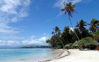 Playa Wallpaper Pixshark Image Galleries With