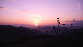 Purple Scenery Wallpaper