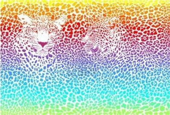 Colorful Cheetah Background HD Wallpaper Background Desktop