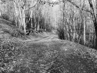 Country Roads Black And White Wallpaper