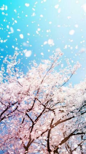 iPhone Wallpaper Spring 3d