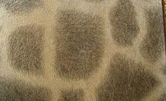 Best Places To Buy Wallpaper In Bangkok Bk Magazine Online