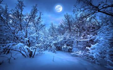 Full Moon Blue Winter Wallpaper And Stock