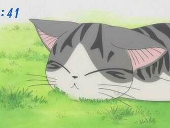 Anime Image Chi S Sweet Home Wallpaper And Background