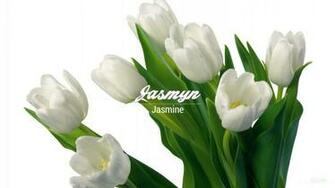 Christian Baby Girl Name Jasmyn Meanings Religion Origin Details
