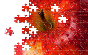 Best Puzzling Wallpaper