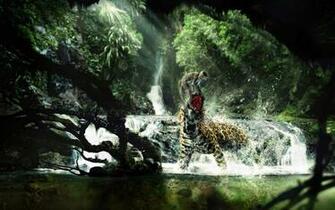 Wild Life Animal Wallpaper Fondo HD