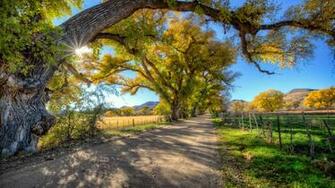 Surreal Autumn Wallpaper HD