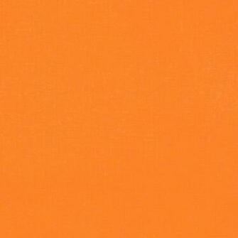 Go Back Image For Solid Neon Orange Background