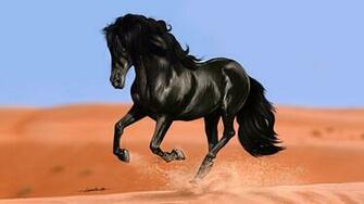 Horses Wallpaper Horse Desktop Background One HD