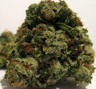 Black Sunday Og Kush HD Walls Find Wallpaper
