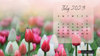 July Calendar Desktop Wallpaper Entheosweb