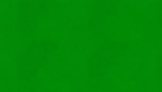 Solid Green Wallpaper
