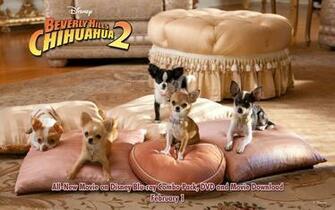 Beverly Hills Chihuahua2 Wallpaper Disney