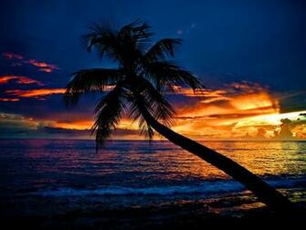 Tropical Sunset Computer Wallpaper Desktop Background