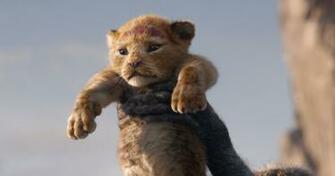 The Lion King Photo Gallery